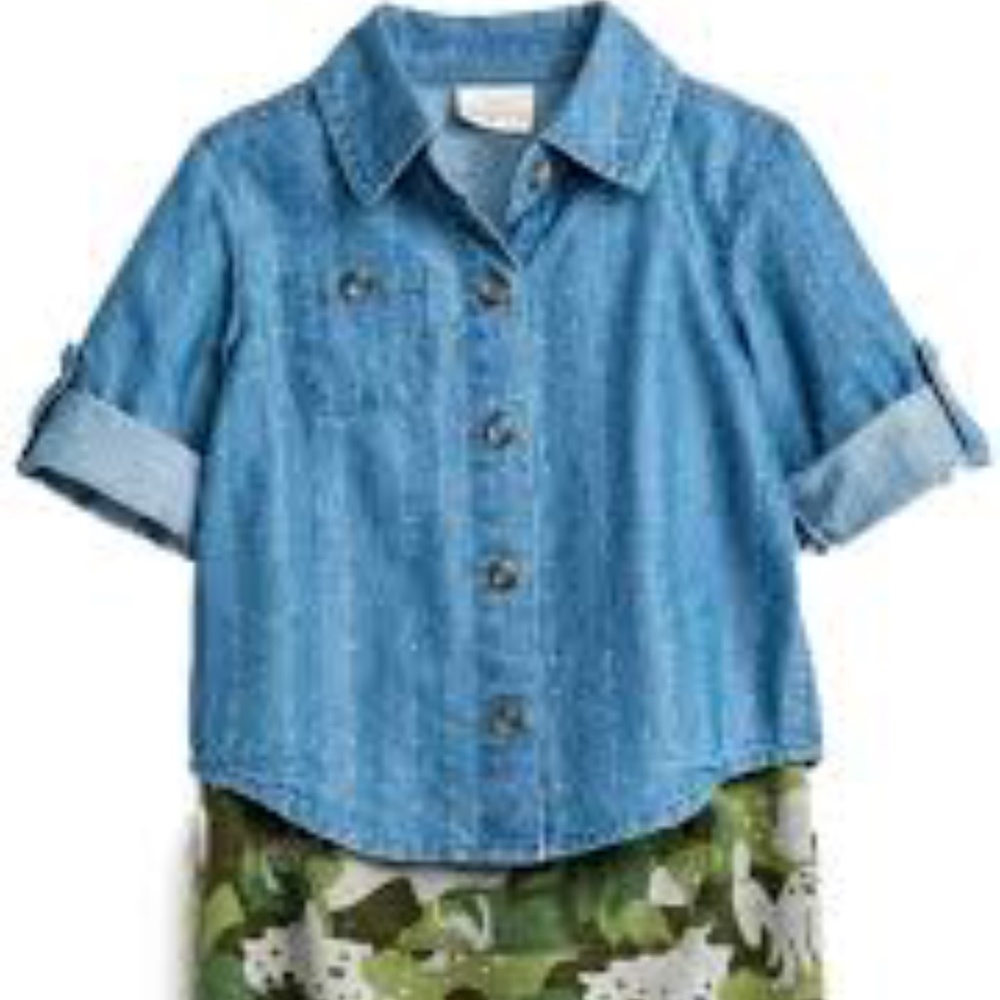 Cat & Jack (2 piece) Dino joggers /button up